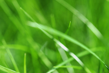 Similar image 10874213