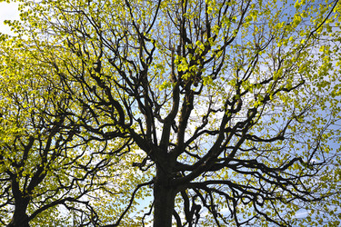 Similar image 10873371