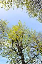 Similar image 10873373