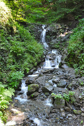 Similar image 10878259