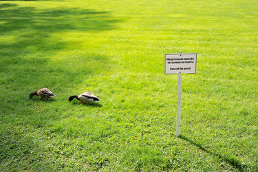 Similar image 10914618