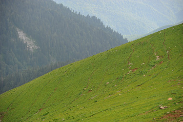 Similar image 10878265