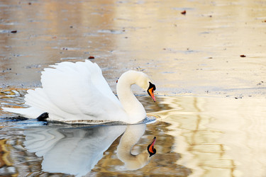 Similar image 10878313