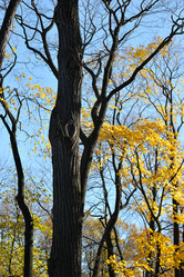 Similar image 10878288