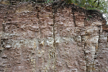 Similar image 10878307