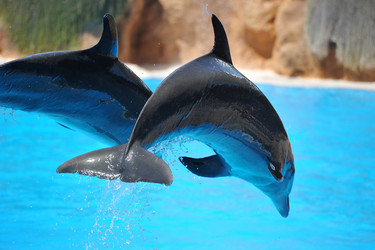 Similar image 10878837