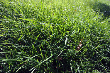 Similar image 10879344