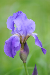 Similar image 10880868