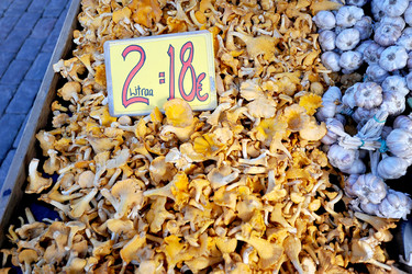 Similar image 10873631