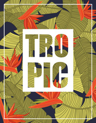 Similar image 10874259