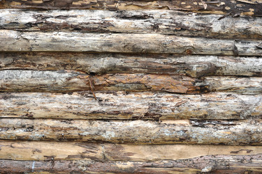 Similar image 10880931