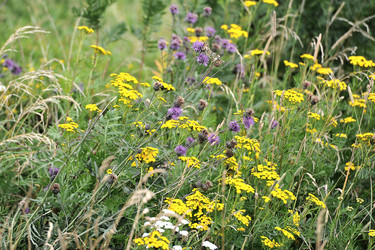 Similar image 10880967