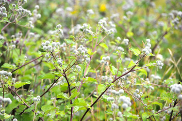 Similar image 10880969