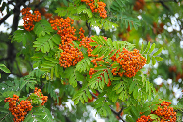 Similar image 10881005