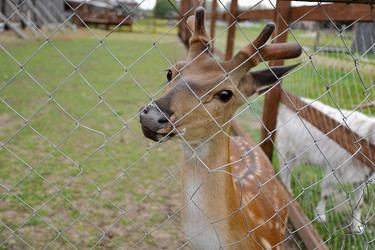 Similar image 10881008