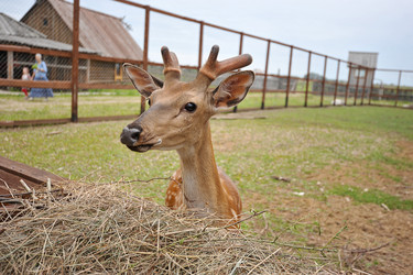 Similar image 10881078