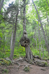 Similar image 10881080