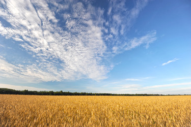 Similar image 10881101