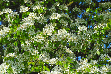 Similar image 10878806