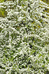 Similar image 10878807