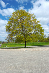 Similar image 10878808