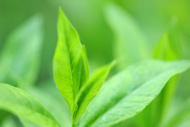 Similar image 10880889