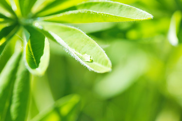 Similar image 10880921