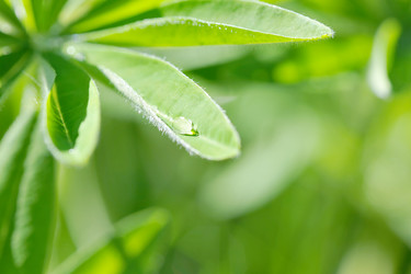 Similar image 10880953