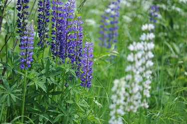 Similar image 10880939