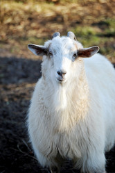 Similar image 10880886