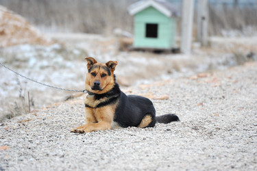 Similar image 10893863