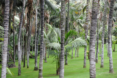 Similar image 10873908