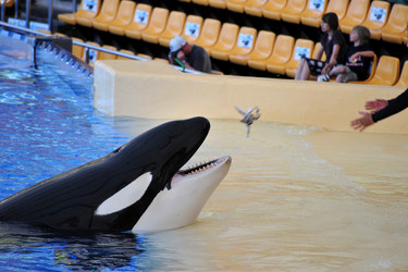 Similar image 10893914