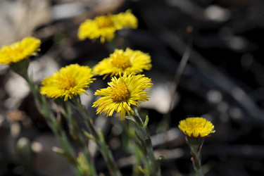 Similar image 10873914