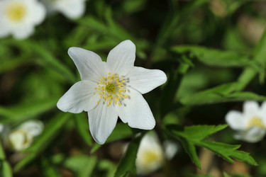 Similar image 10873915