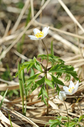 Similar image 10873925