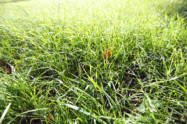 Similar image 10873932