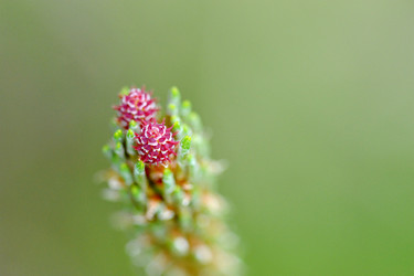 Similar image 10873936