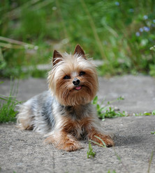 Similar image 10873938