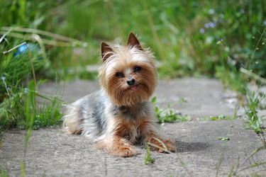 Similar image 10873940