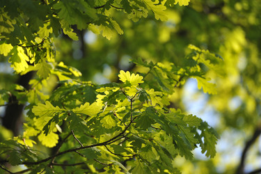 Similar image 10873550