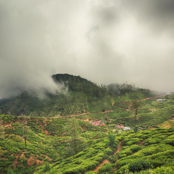 Similar image 10864247