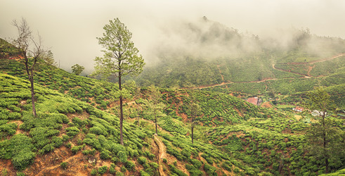 Similar image 10864248