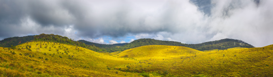 Similar image 10864255