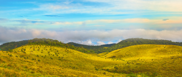 Similar image 10864256