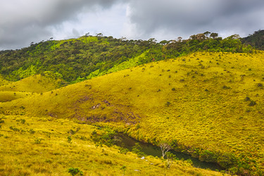 Similar image 10864257