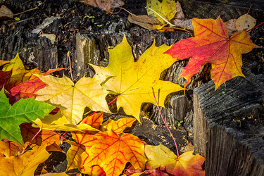 Similar image 10872573