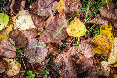 Similar image 10872610