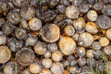 Similar image 10872643