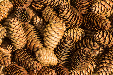 Similar image 10872665